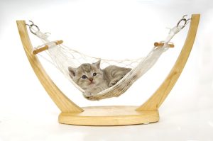L'Arte del Relax Felino: Amache per Gatti